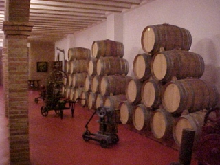 sala de exposiciones de barricas